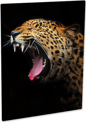 Chromaluxe Semi-Gloss White Photo Panel - 11" x 14" - Sublimax
