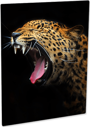 Chromaluxe Semi-Gloss White Photo Panel - 11" x 14" - Sublimax